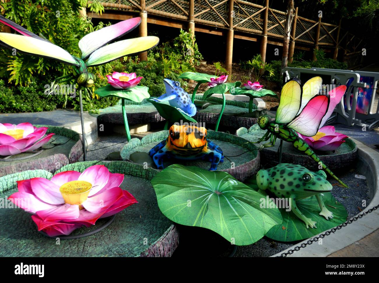 Los Angeles, California, USA 12th January 2023 Frogs and Dragonflies at