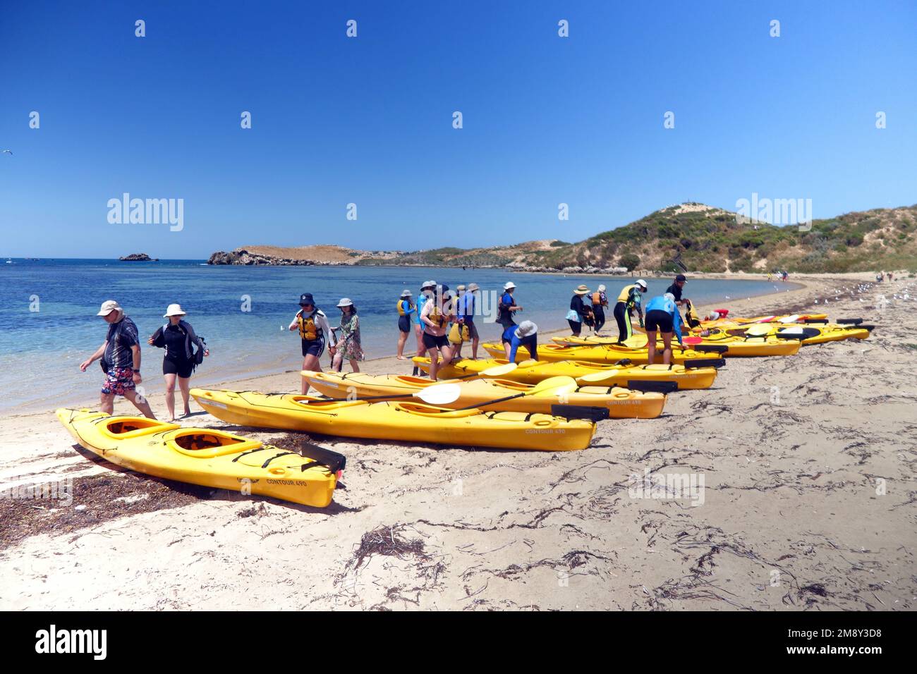 Kayakers gearing up on the beach, Penguin Island, Shoalwater Islands Marine Park, near Perth, Western Australia. No MR or PR Stock Photo