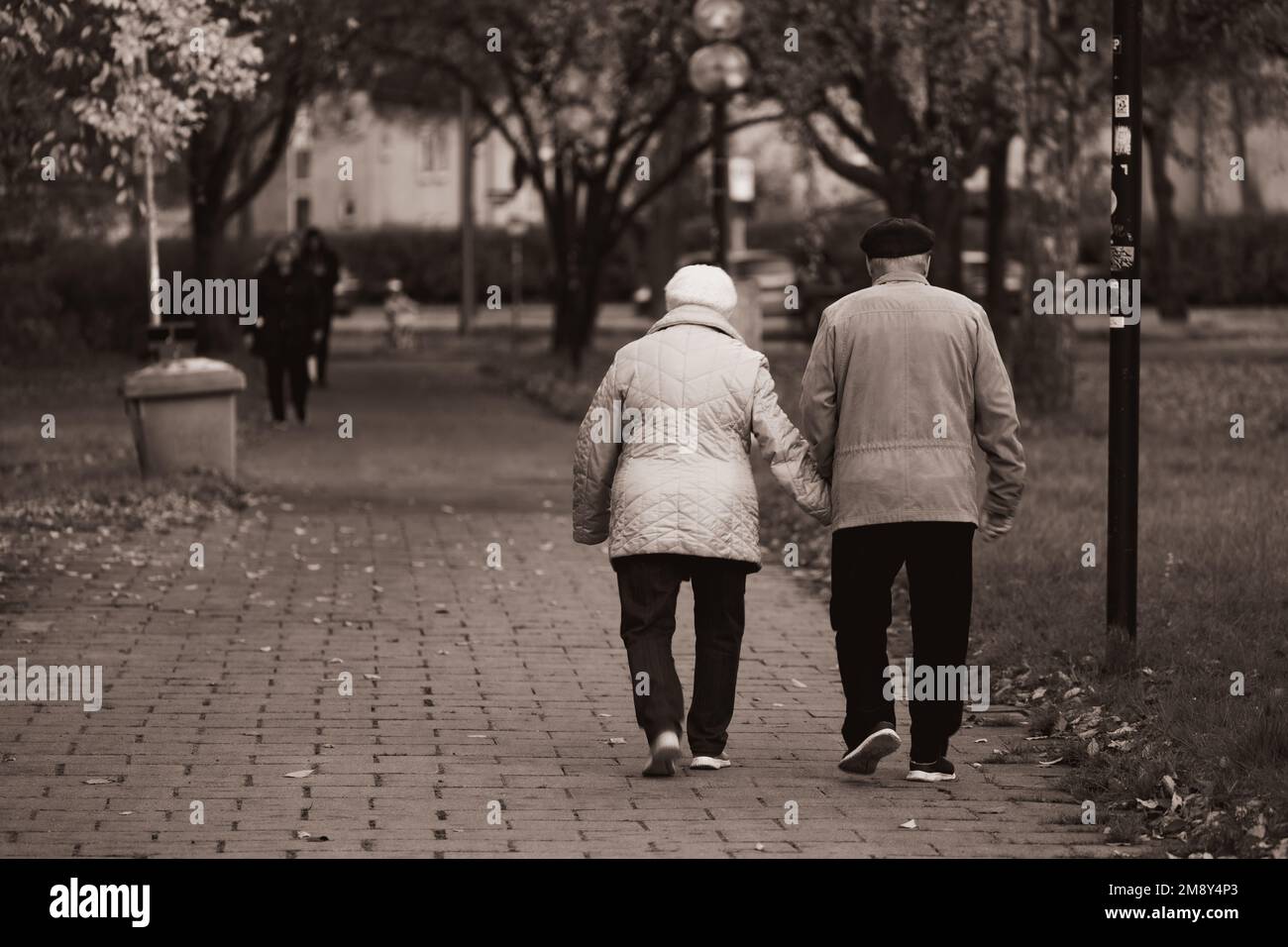 A grayscale of an elderly couple holding hands walking in a park Stock ...