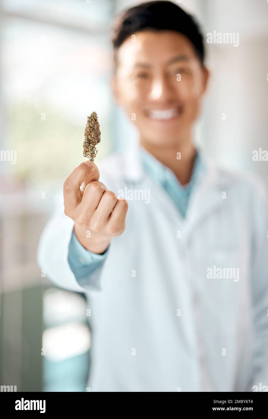 Advancing science on the medicinal effects of cannabis. a scientist