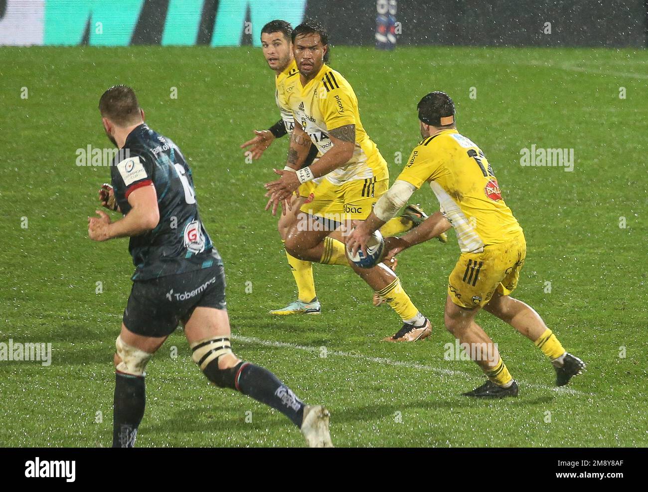 Brice jules online