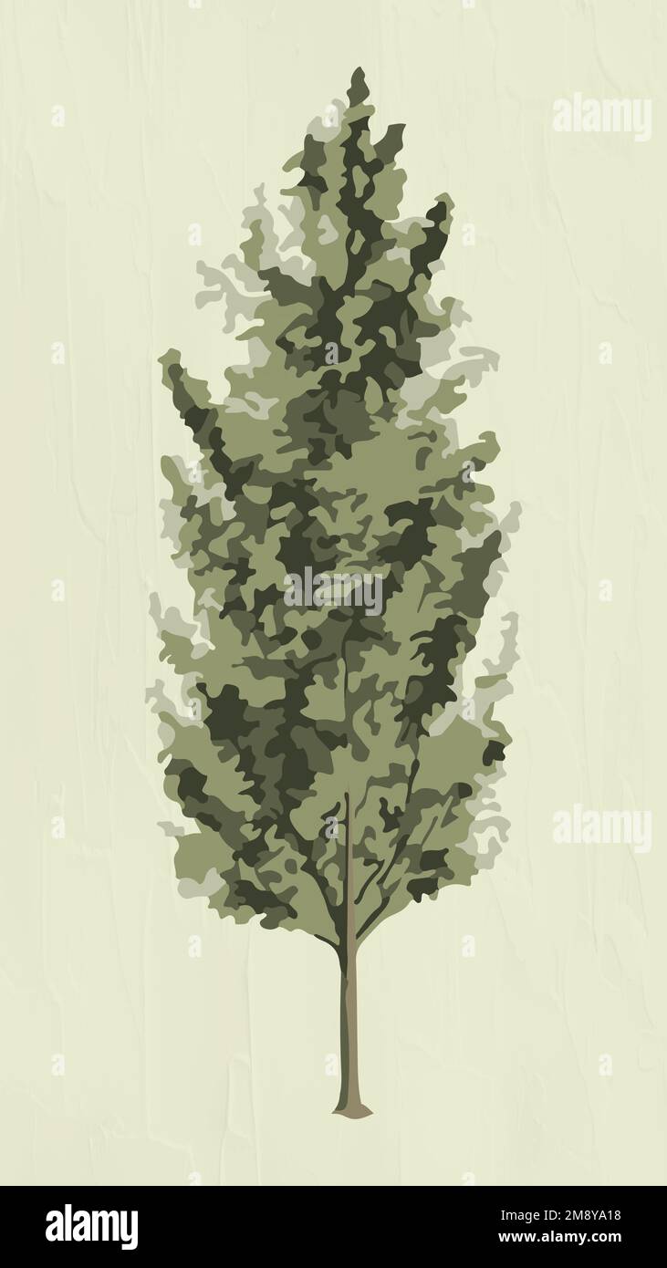 Vectorized spruce tree sticker overlay on a sage green background Stock ...