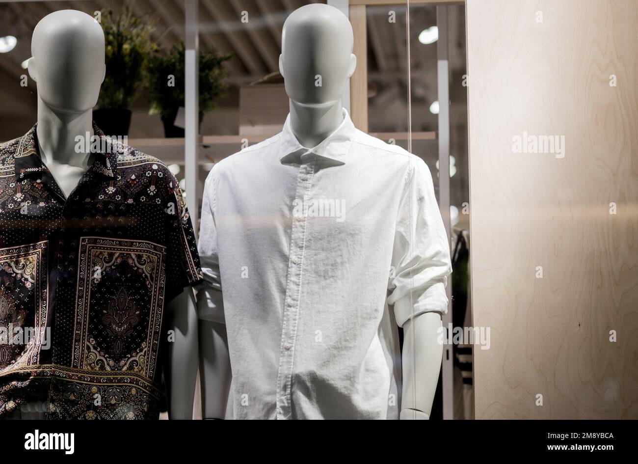 Two male mannequins dressed in shirt. No brand names or copyright objects. Stock Photo