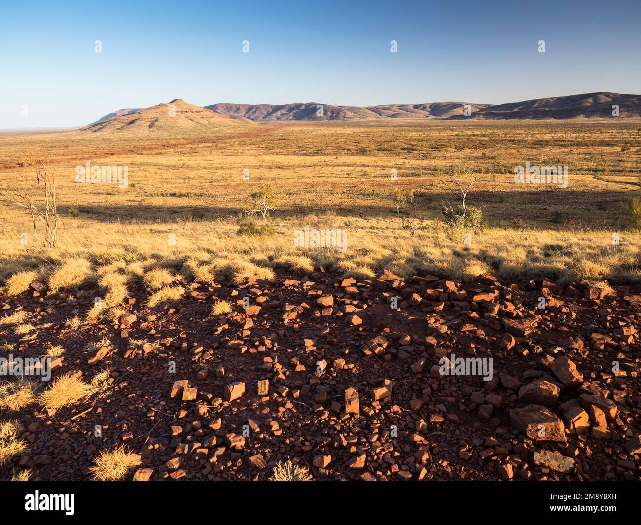 Views north from the first hill on Mt Bruce (Punurrunha)'s spinifex