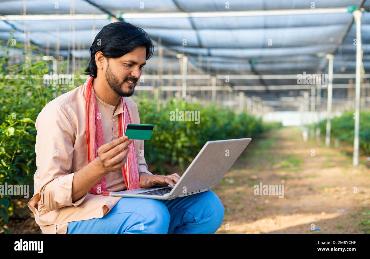 farmer busy making online payment using credit card on laptop while sitting at greenhouse - concept of secure online transaction, e-commerce and Stock Photo