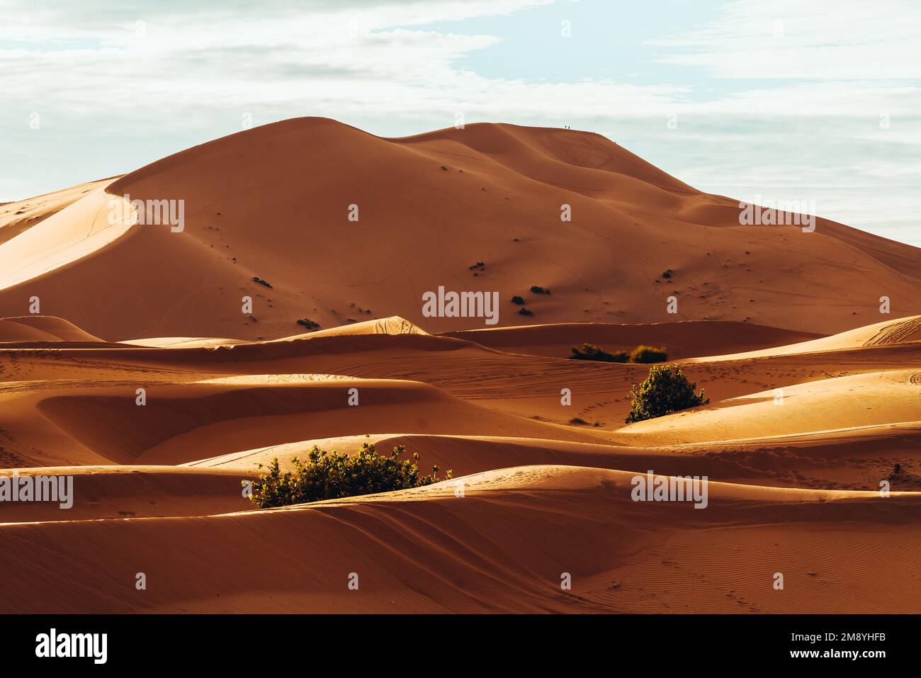 A view of desert dunes in the Sahara desert, Morocco Stock Photo - Alamy