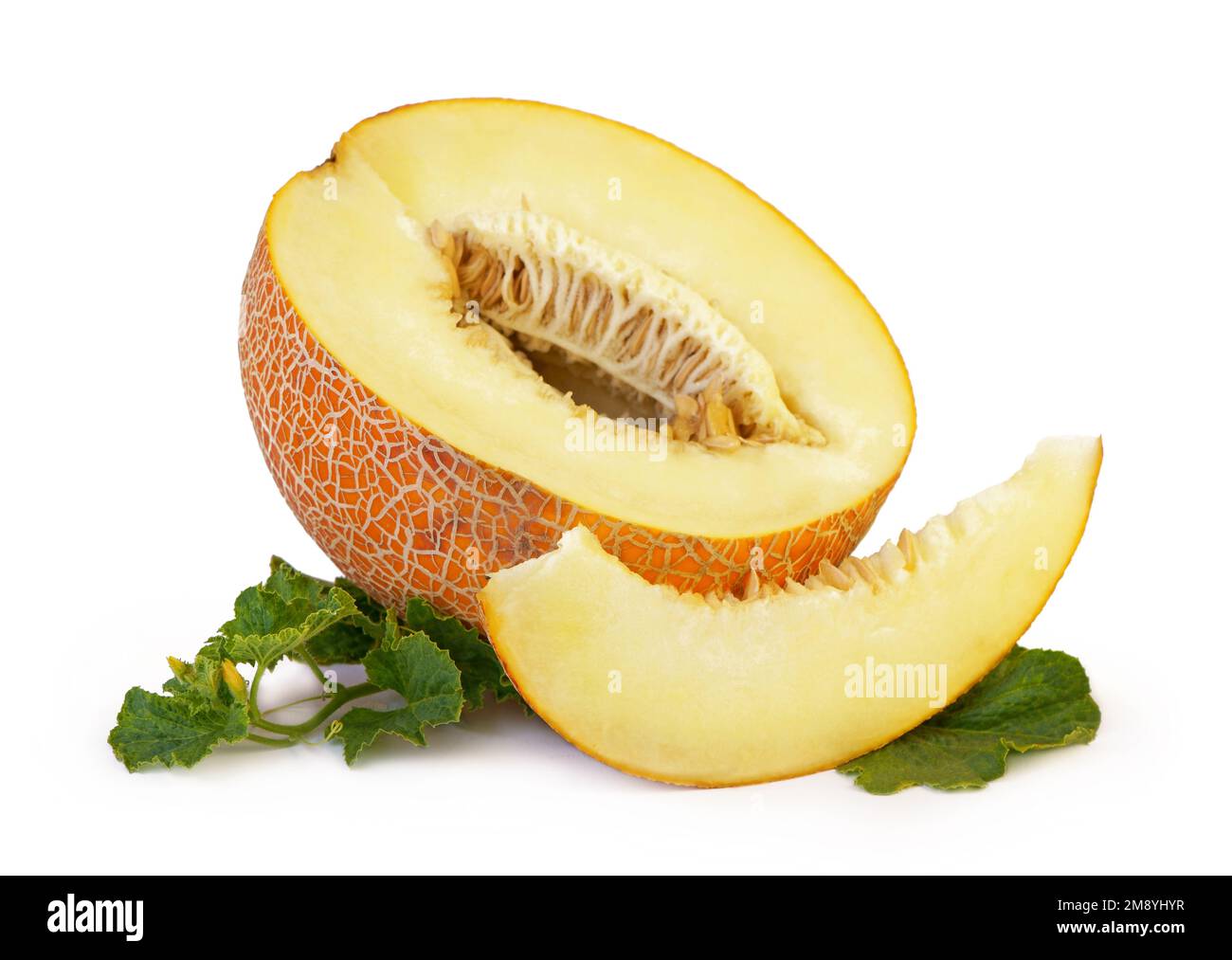 Sweet melons isolated on white background, Melon or cantaloupe isolated