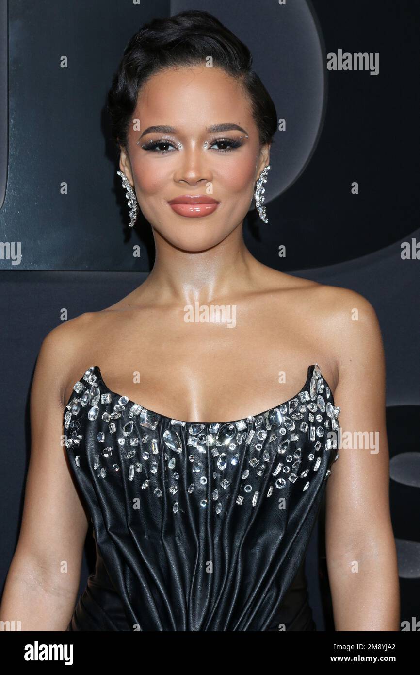 LOS ANGELES - JAN 5:  Serayah at the 'BMF' Season 2 Premiere at the TCL Chinese Theater IMAX on January 5, 2023 in Los Angeles, CA Stock Photo