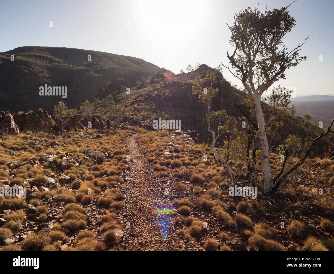 Welldefined path up Mt Bruce (Punurrunha)'s spinifexclad western