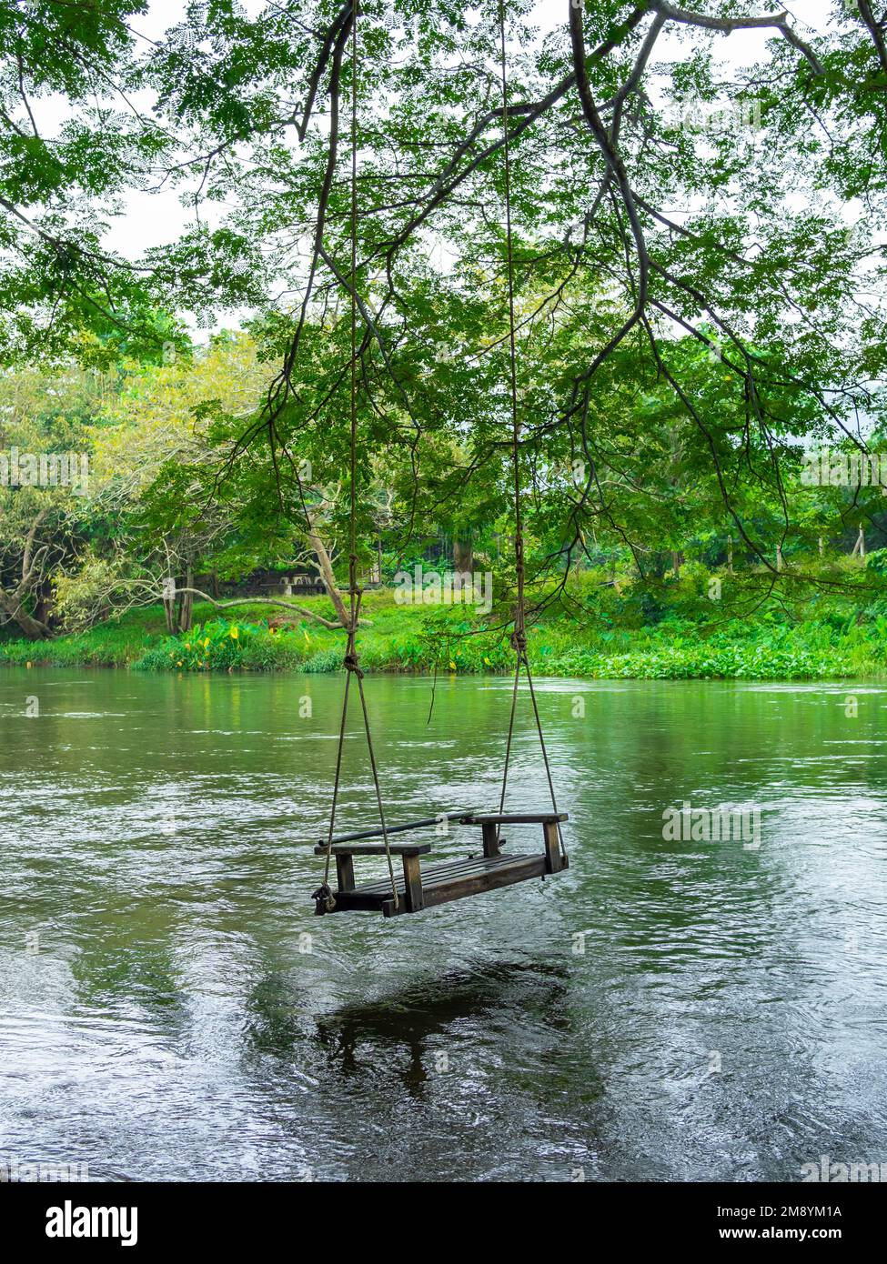 Empty old lonely wood swing hanging on the big tree over the large stream on the green forest background, relaxing place, vertical style. Hanging benc Stock Photo