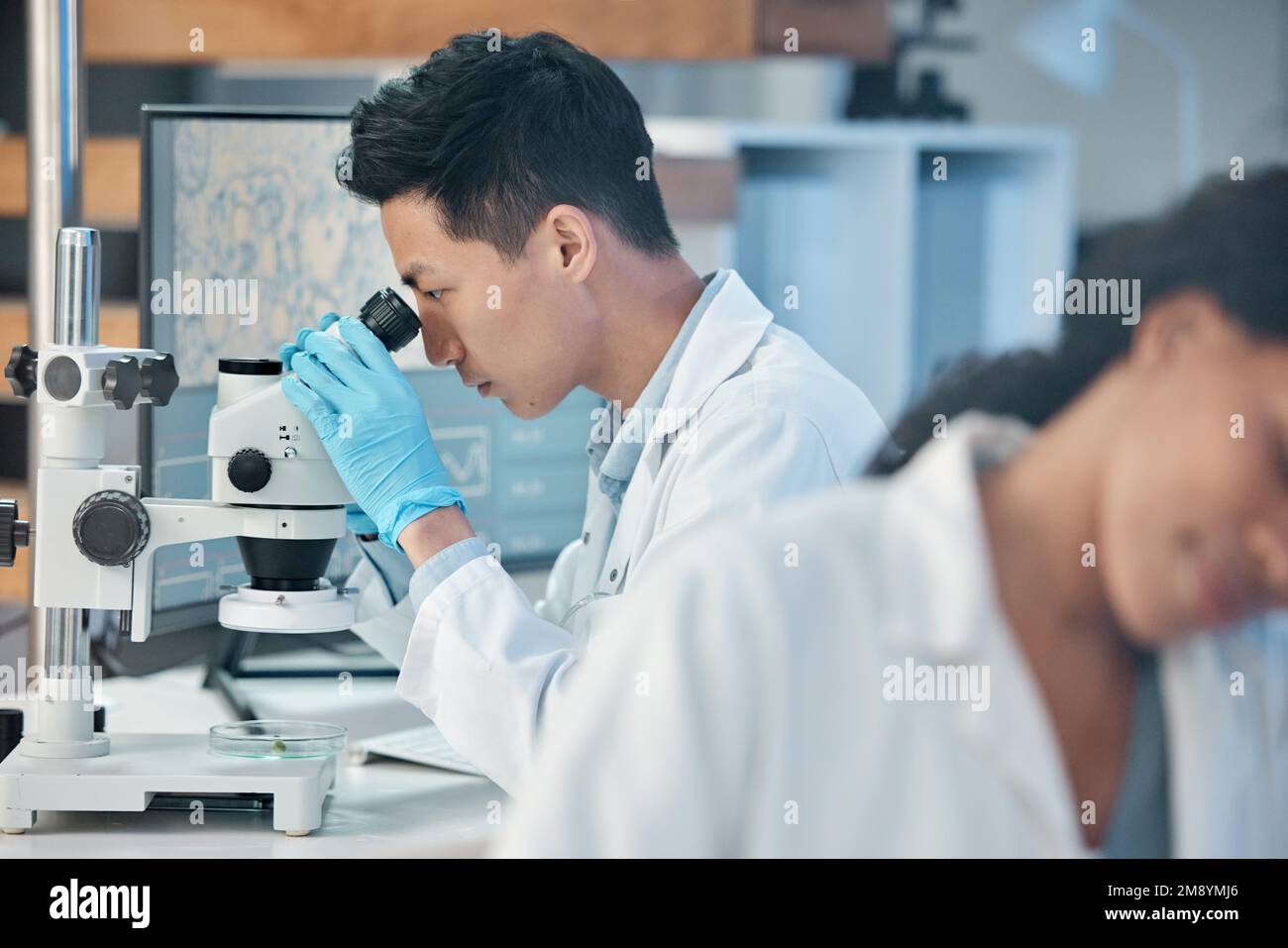 You never know when inspiration may strike. two coworkers peacefully working together in a lab. Stock Photo