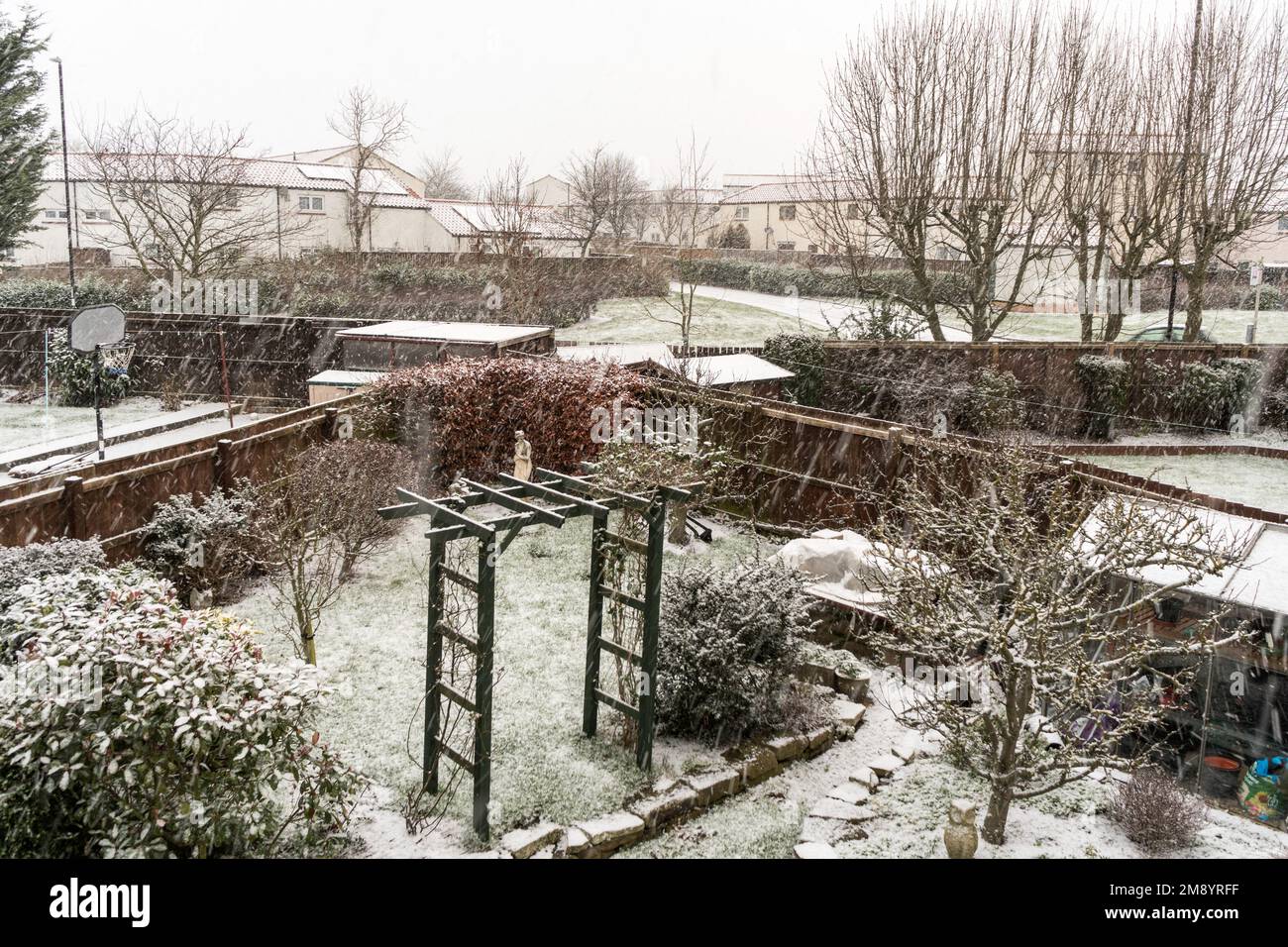 UK Weather 16th January 2023 Snow falling on a domestic garden in Washington, north east England, UK Stock Photo