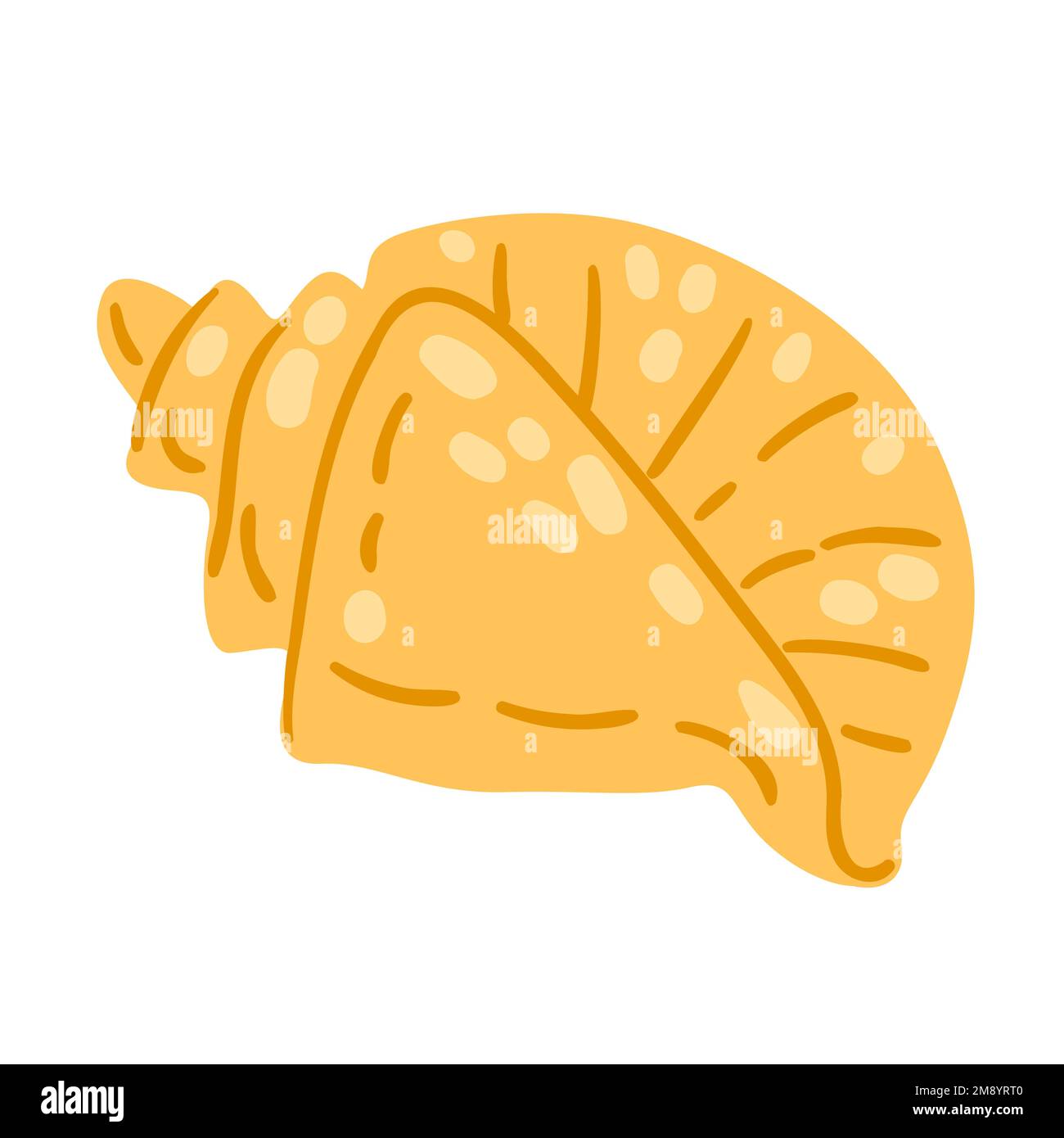 Illustration of sea shell. Natural icon. Marine cute decorative item ...