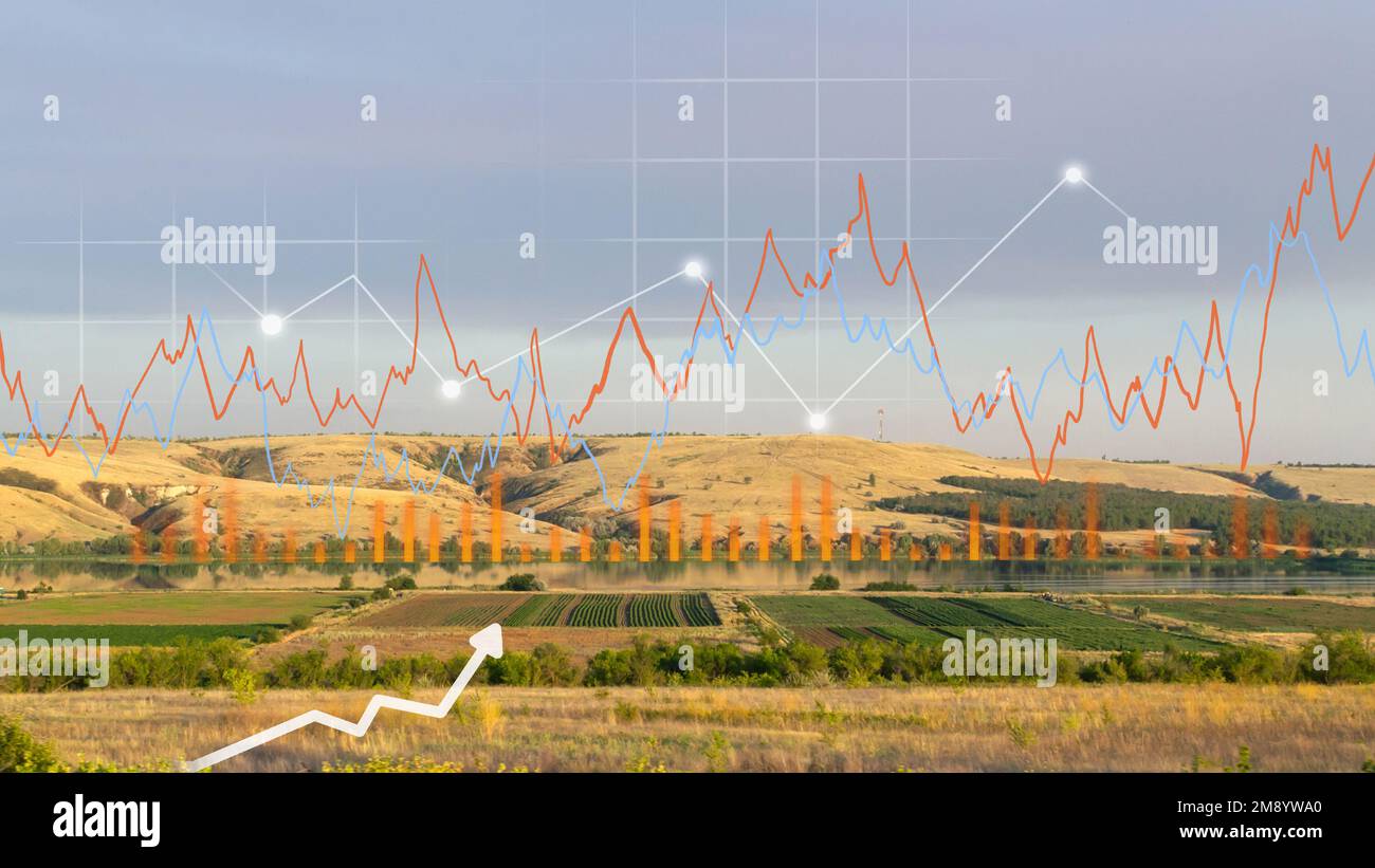 Land value field, house building, growth graph of trade market price. Investor to sale, buy, agriculture farm, growth graph Stock Photo
