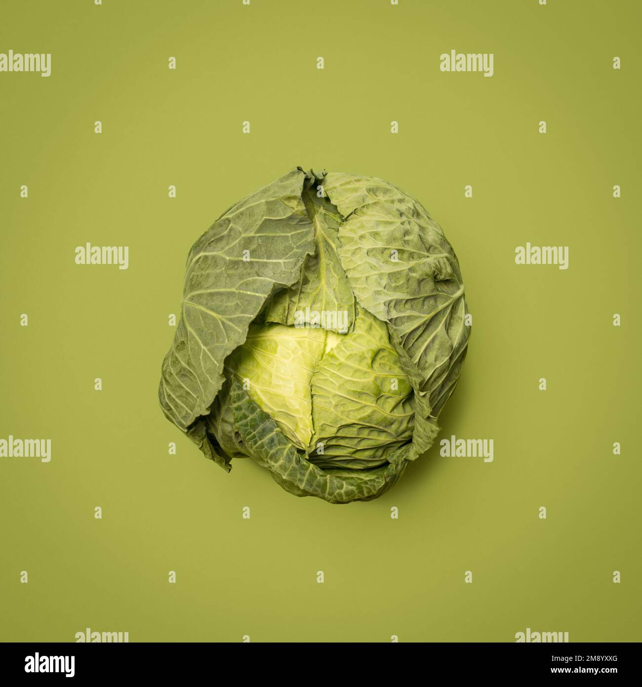 Lettuce us celebrate this bounty. a cabbage head against an empty