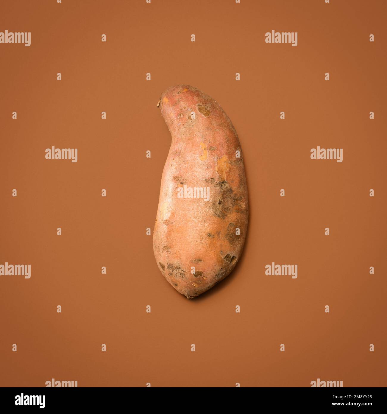 The sweetest treats can be found in the earth. a sweet potato against a studio background. Stock Photo