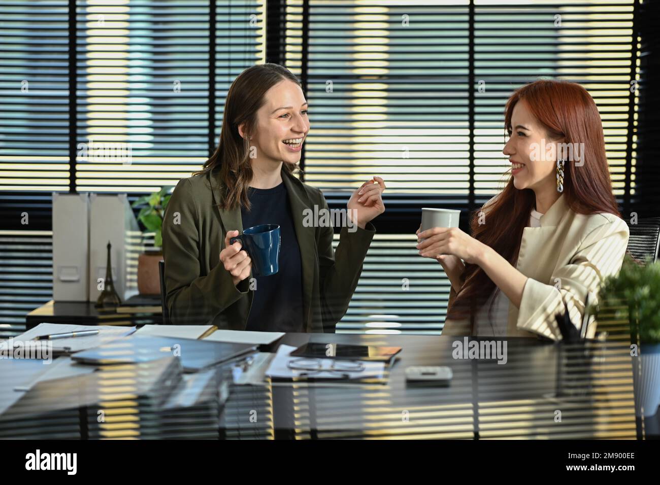 Two friendly female colleagues having pleasant conversation, discussing ...