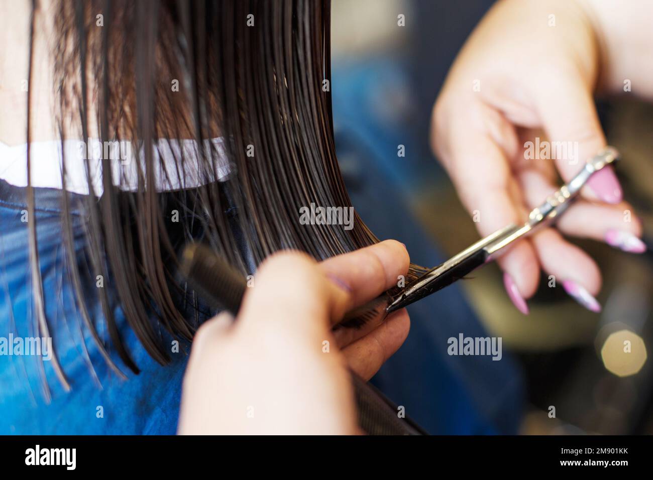 haircuting in a beauty professional salon. hairdresser's hands cutting