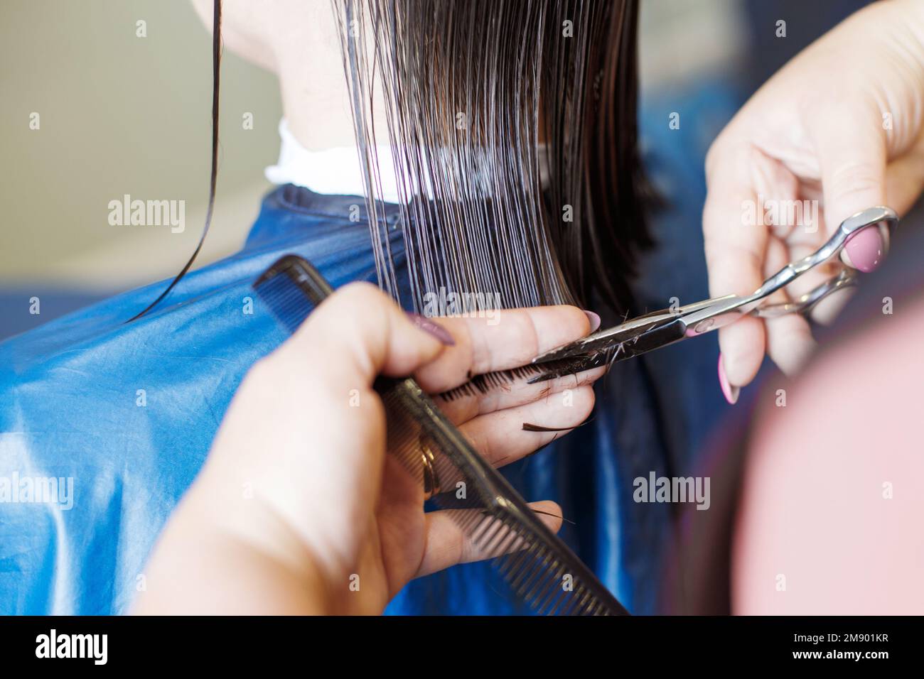 haircuting in a beauty professional salon. hairdresser's hands cutting