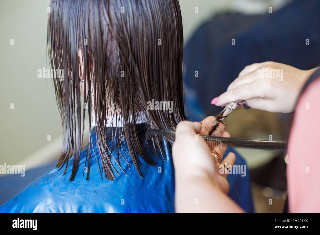 haircuting in a beauty professional salon. hairdresser's hands cutting