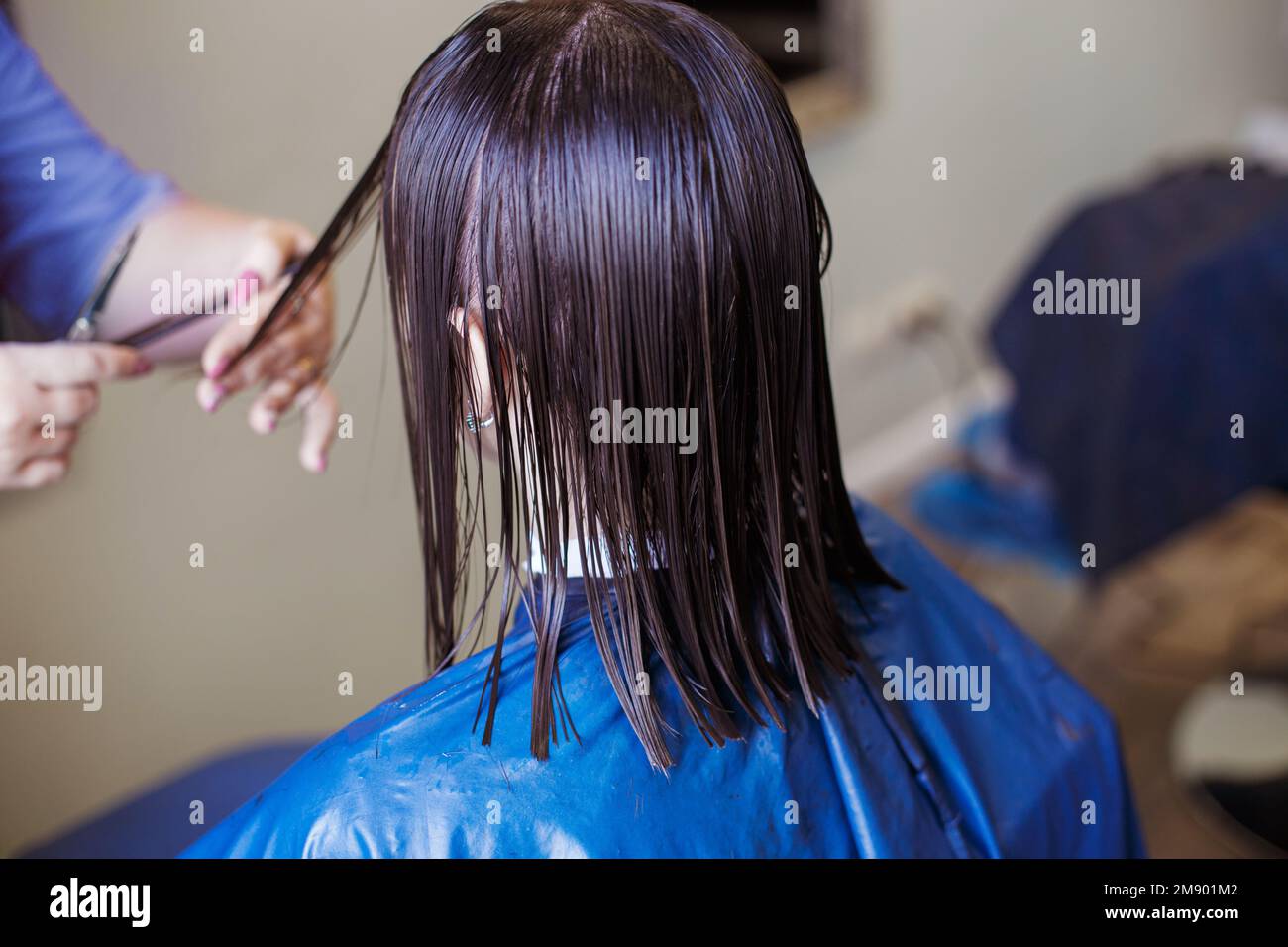 haircuting in a beauty professional salon. hairdresser's hands cutting