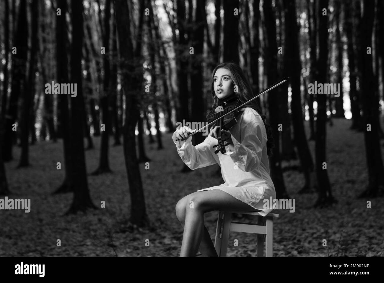 Woman playing violin in forest hi-res stock photography and images - Alamy