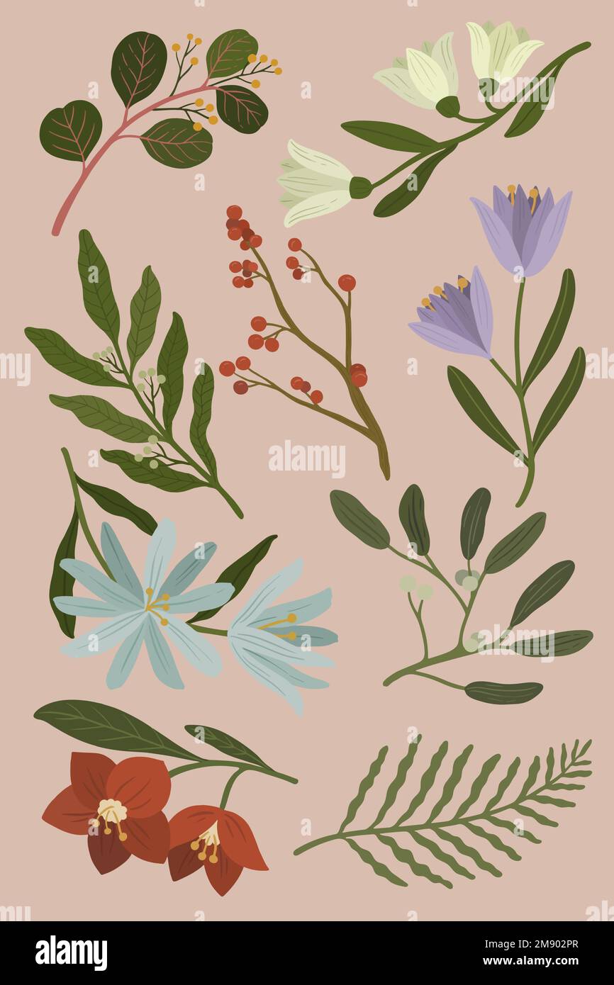 Winter botanicals on a pink background vector Stock Vector