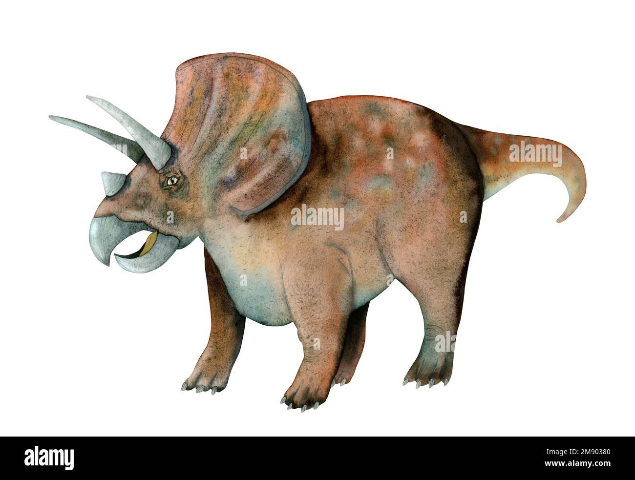 Brown blue watercolor triceratops illustration. Hand drawn ancient dinosaur reptile isolated on white background. Stock Photo