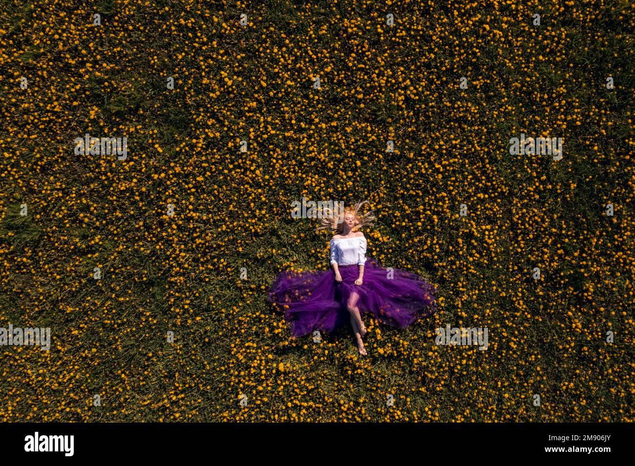 An aerial view of a young girl lying on her back in a flower field ...