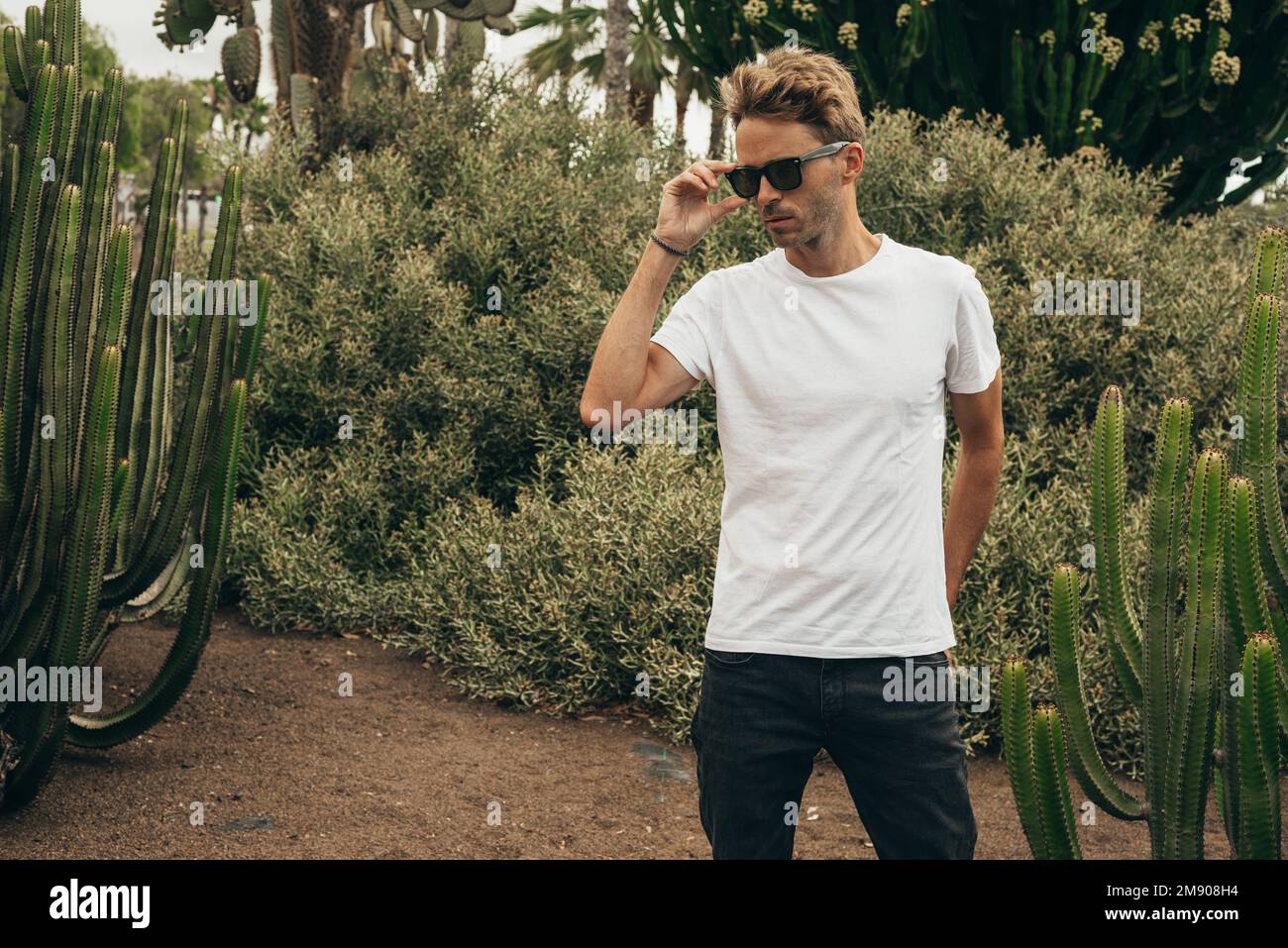 Blond attractive hipster guy  wearing white empty t-stirt and  sunglasses is standing in the garden near a big cactus. Stock Photo
