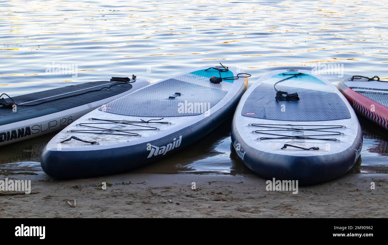 Empty SUP boards sway on the waves on a calm river or lake. Water sports. Lots of boards at the rental shop, the sun reflecting off the ripples of the Stock Photo