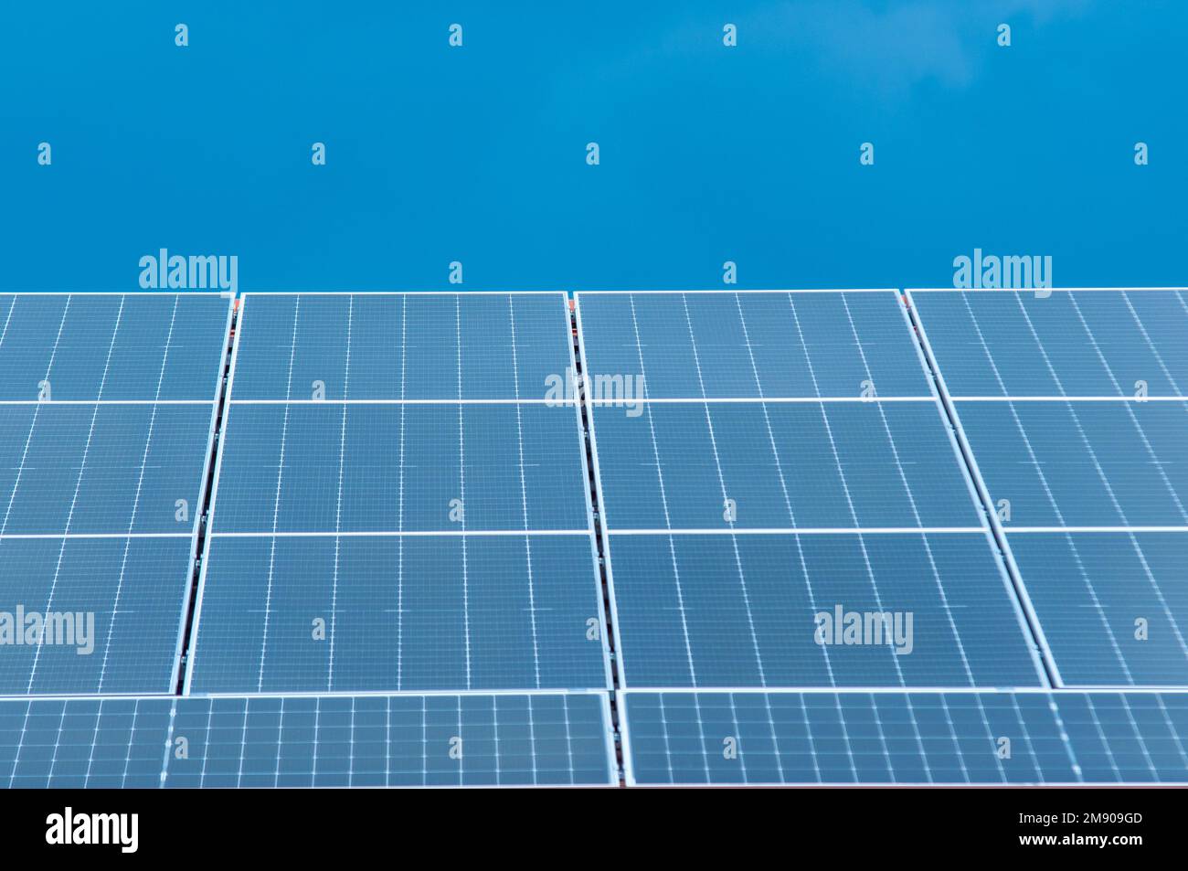solar panels on the roof of the shop and company, reducing energy costs