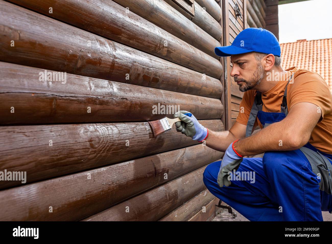 Man protecting mountain house wooden walls by applying protective varnish or paint with brush Stock Photo Alamy