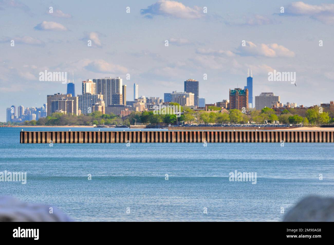 Chicago skyline from a distance with pier and foliage in the midground
