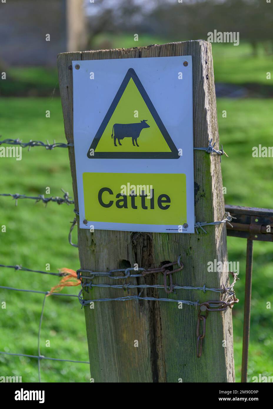 Lincolnshire, England UK - A cattle warning sign on a gatepost on a country footpath Stock Photo