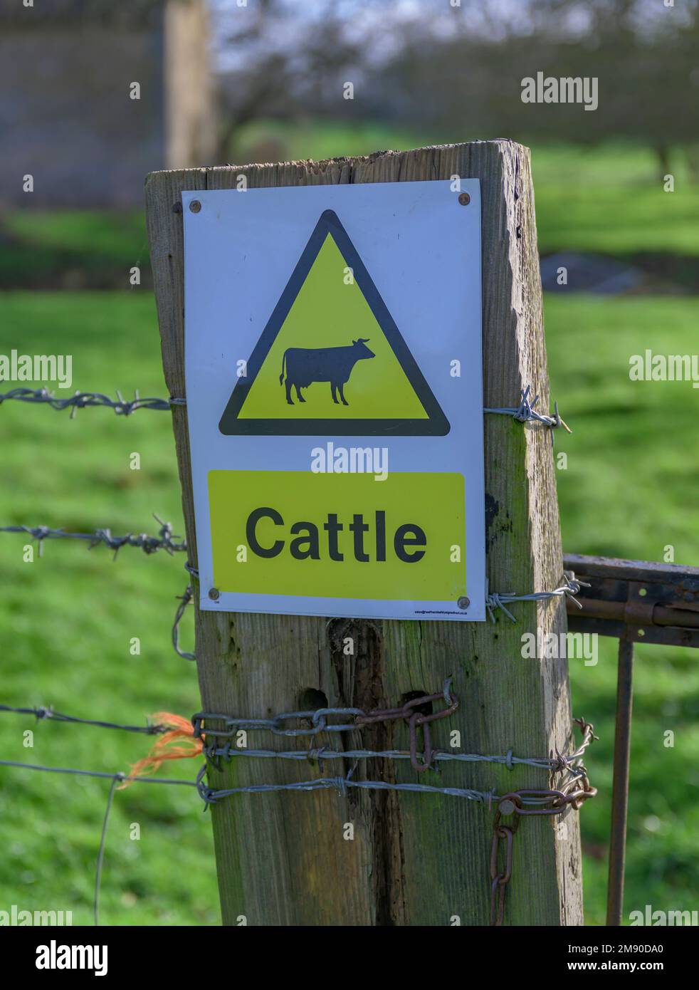 Lincolnshire, England UK - A cattle warning sign on a gatepost on a country footpath Stock Photo