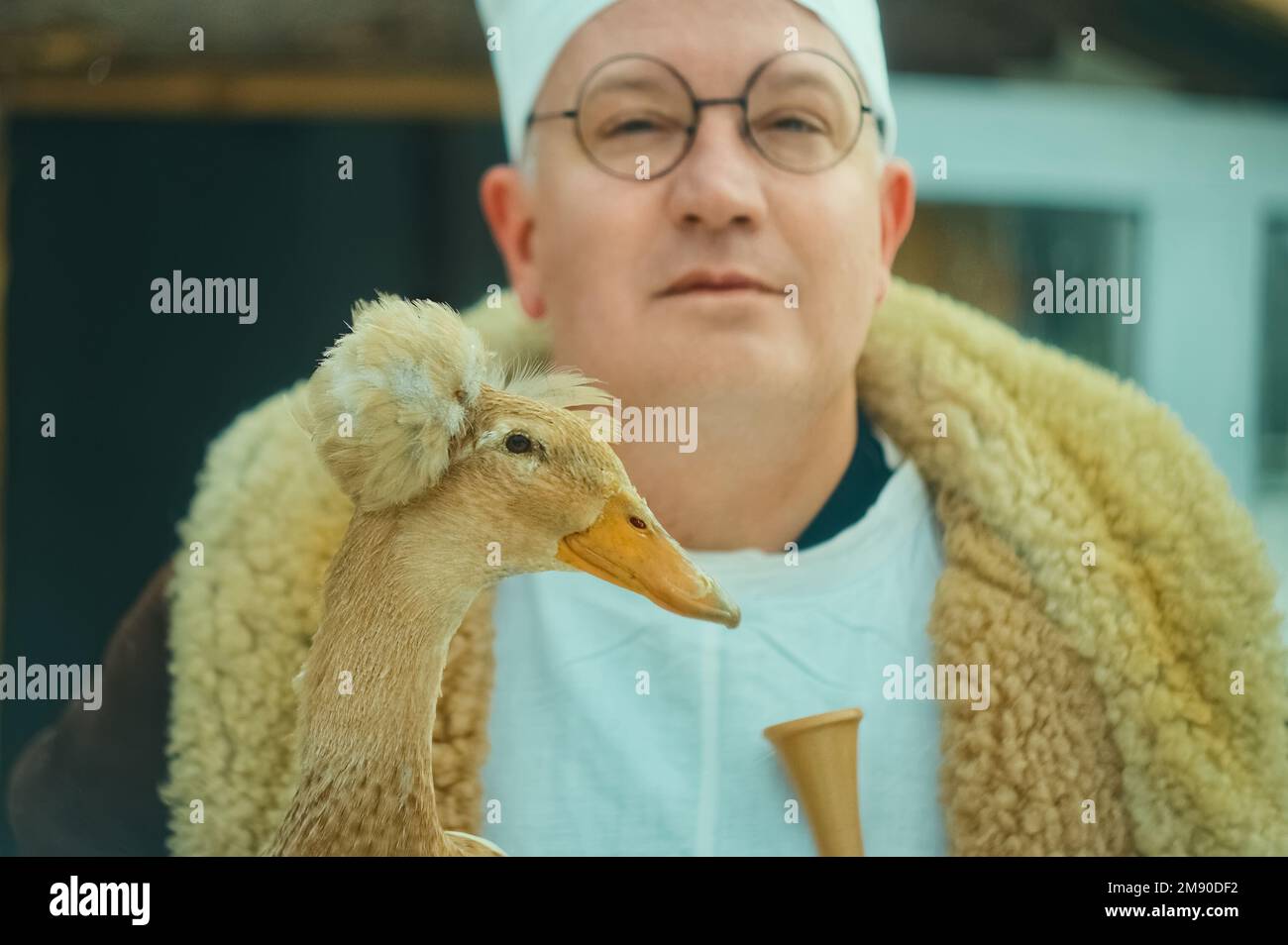 Portrait of a male veterinarian holding a beautiful duck in his hands. at the ranch Stock Photo