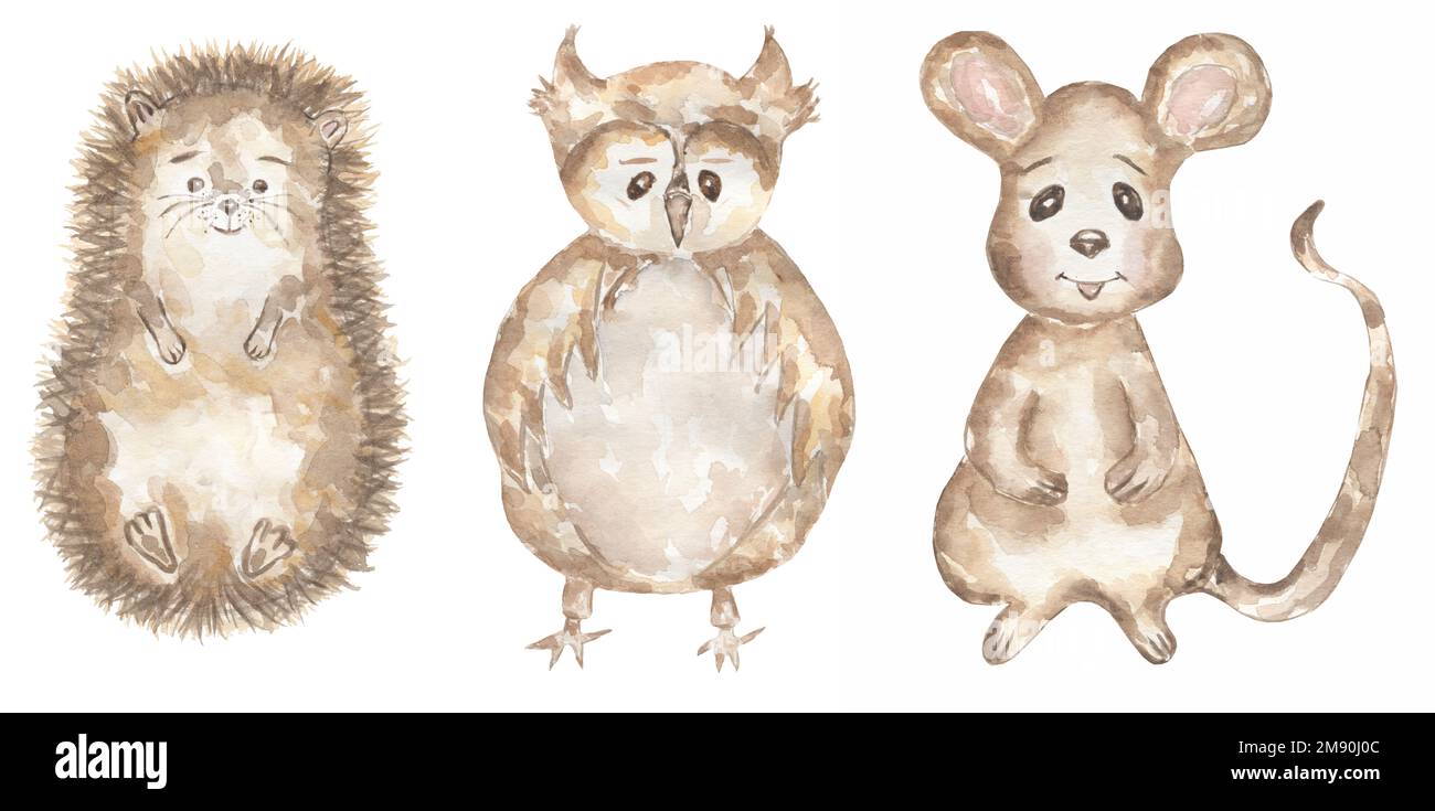 Watercolor hand drawn baby animals clipart. Woodland animal