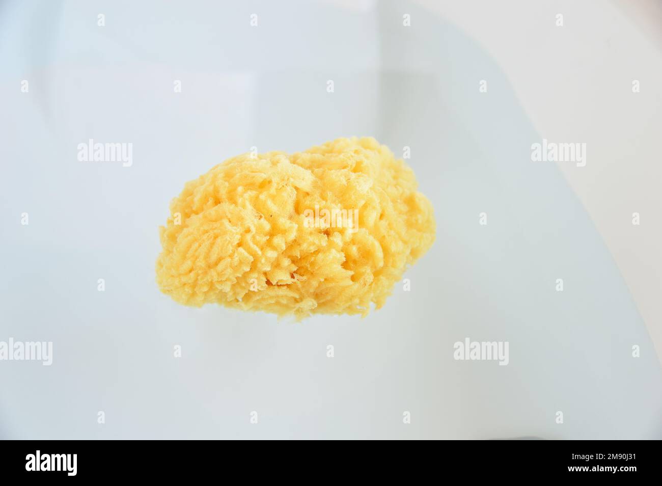 Sponge soaking up water hires stock photography and images Alamy