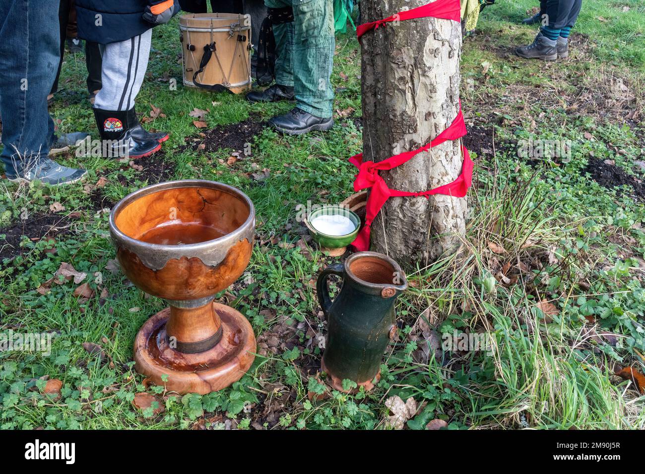 Wassailing event at the Weald and Downland Living Museum, January 2023, West Sussex, England, UK. The wassail bowl next to an apple tree in an orchard Stock Photo