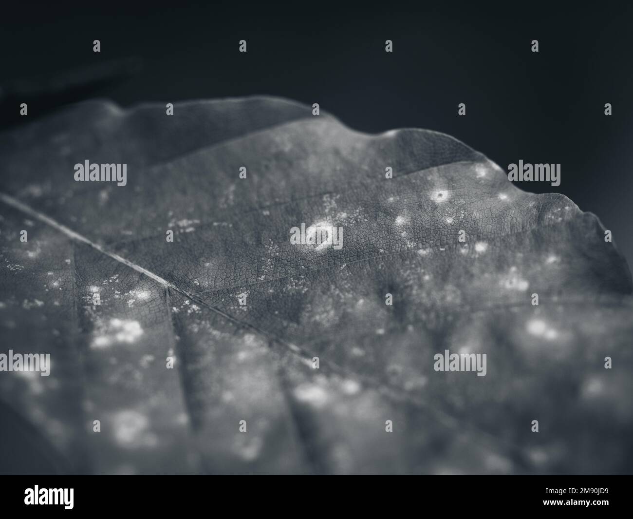 Glowing spots hi-res stock photography and images - Alamy