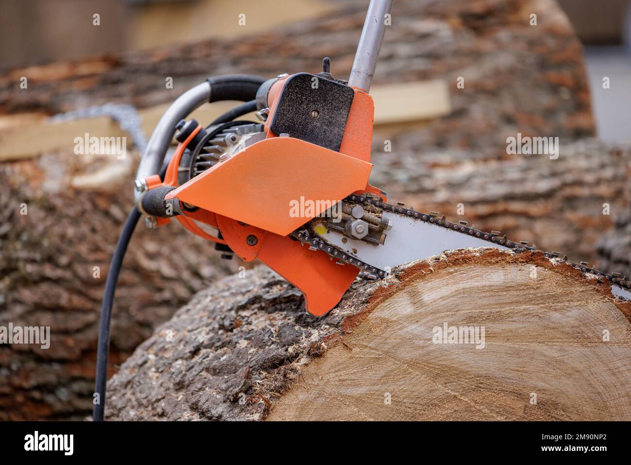 Woodcutter saws tree with electric chain saw on sawmill. Chainsaw used in activities such as tree felling, pruning, cutting firebreaks in wildland fir Stock Photo