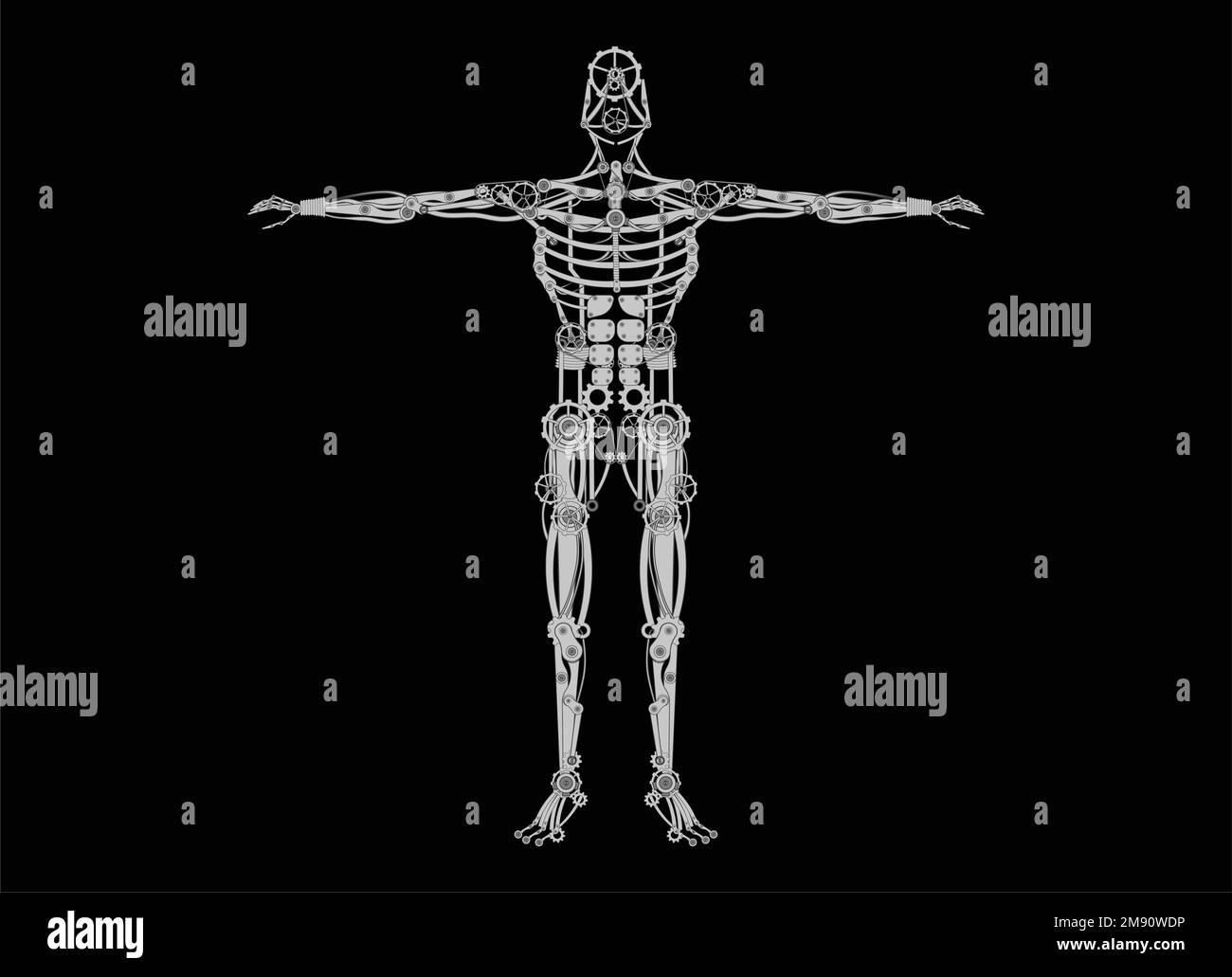 Human body anatomy Black and White Stock Photos & Images Alamy