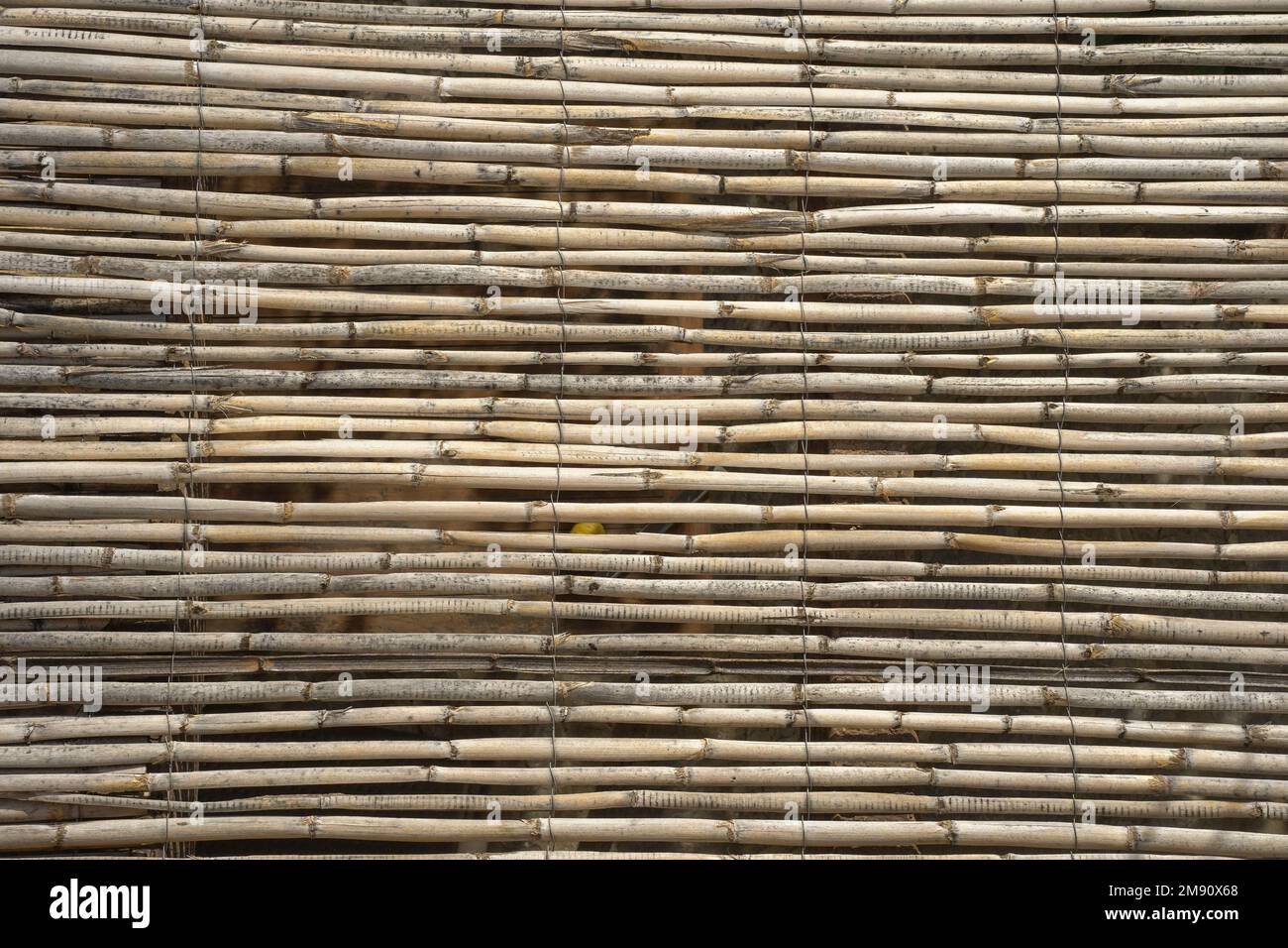 rooftop cover of reed sticks pattern. Stock Photo