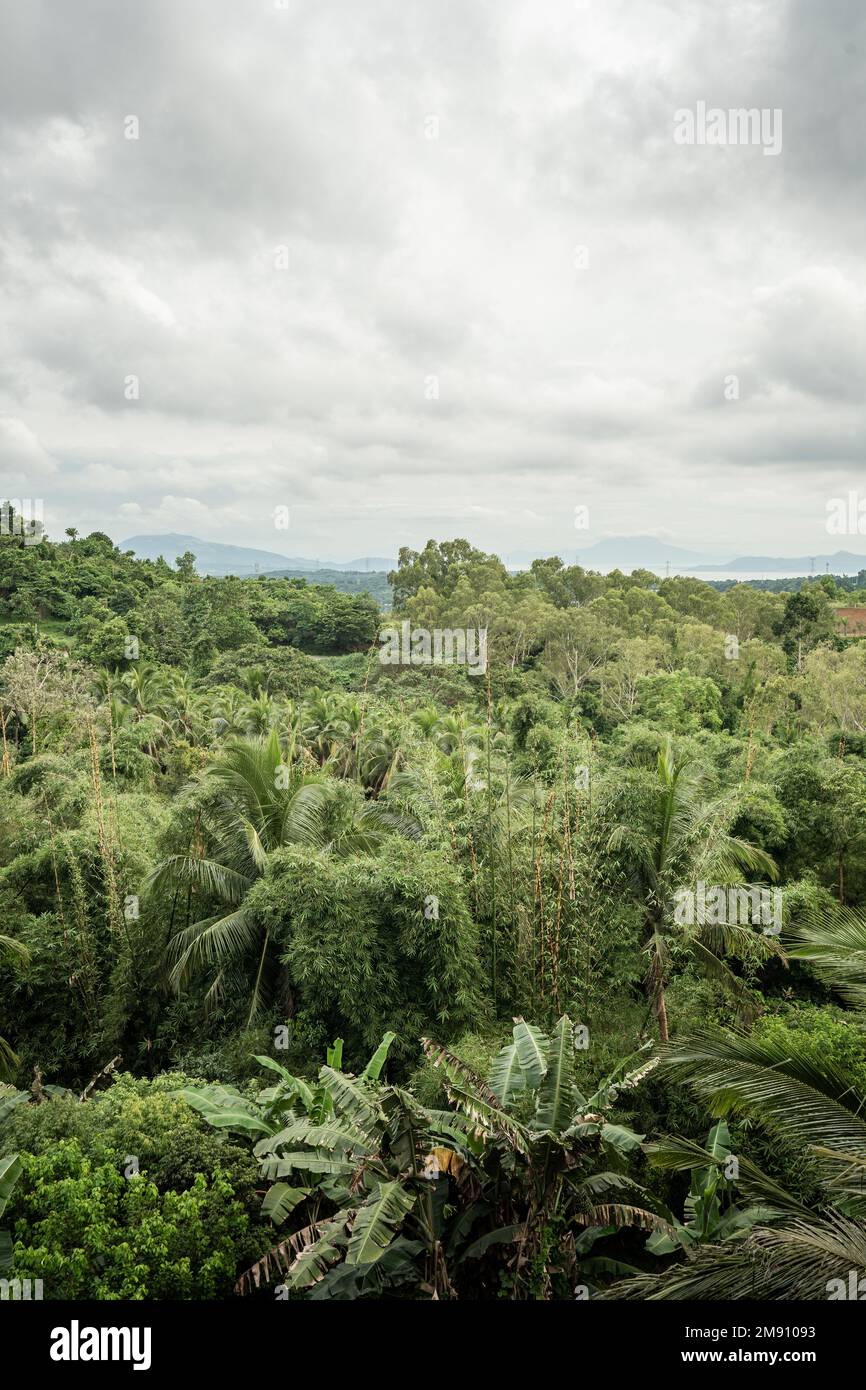 Panoramic overlooking view of green tropical vegetation Stock Photo - Alamy