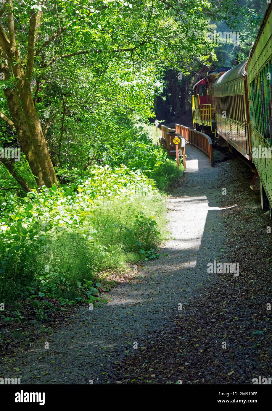 Mendocino Railway (the Skunk Train), is a heritage railroad in