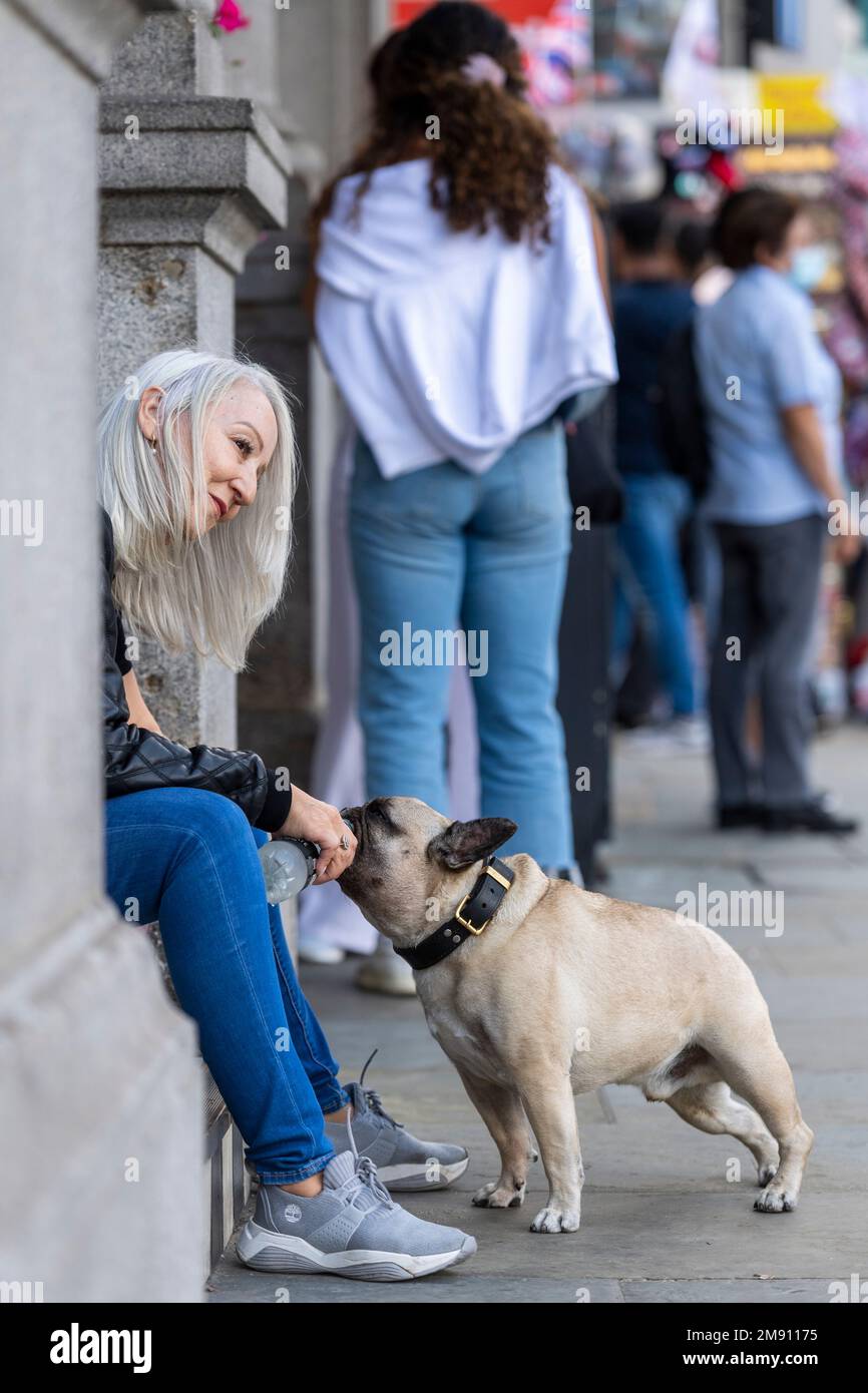 I woman giving a pet dog a drink of water from a bottle, Trafalgar Square, London, UK.  11 Sep 2022 Stock Photo