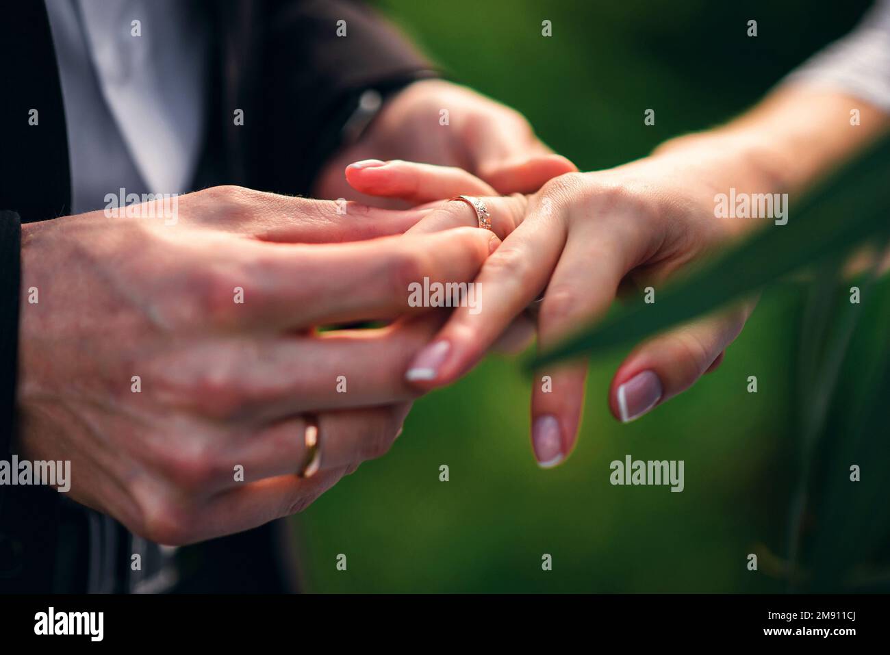 exchange rings for wedding registration of marriage between the bride and groom. Hands close up Stock Photo