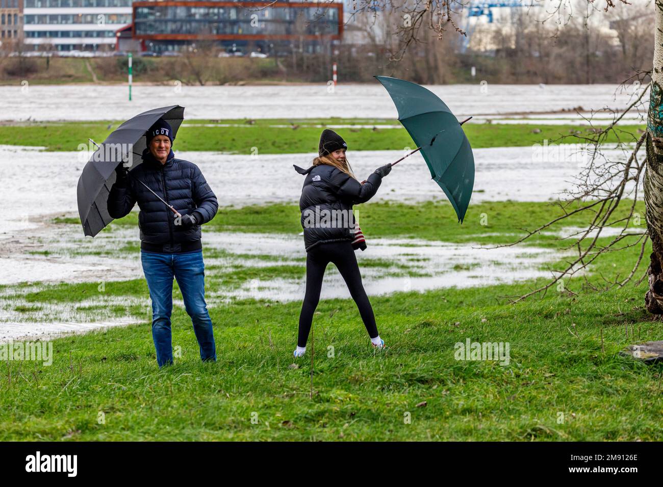 Rising water level on the Rhine in Düsseldorf, plus rain and stormy weather, father and daughter on the banks of the Rhine Stock Photo