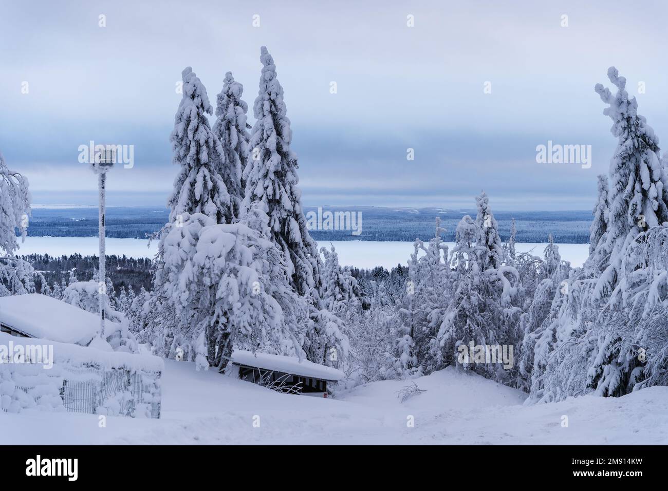 Winter landscape from top of Naapurinvaara in Vuokatti, Kainuu, Finland. Snow covered trees in the foreground. Stock Photo